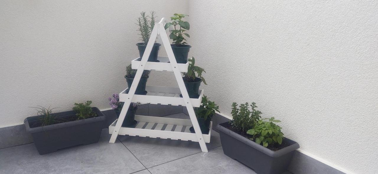 Le Quattro Stagioni Apartment Levico Terme Exterior foto